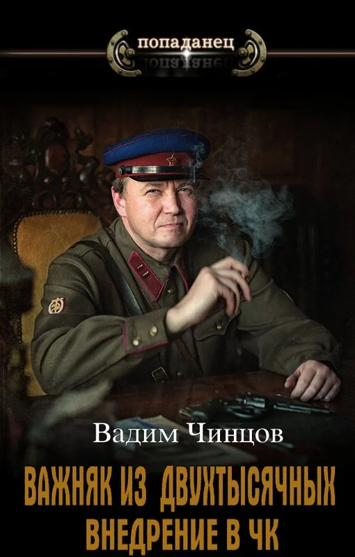 Обложка Внедрение в ЧК