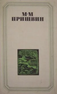 Обложка Глаза земли. Корабельная чаща