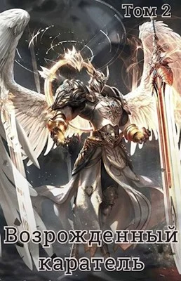 Обложка Возрожденный каратель. Том 2