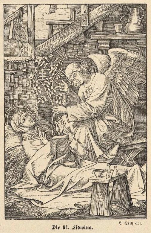 Обложка Житие девы Лидвины