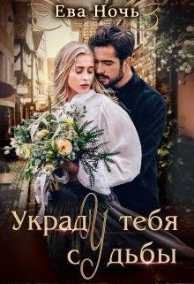 Обложка Украду тебя у судьбы