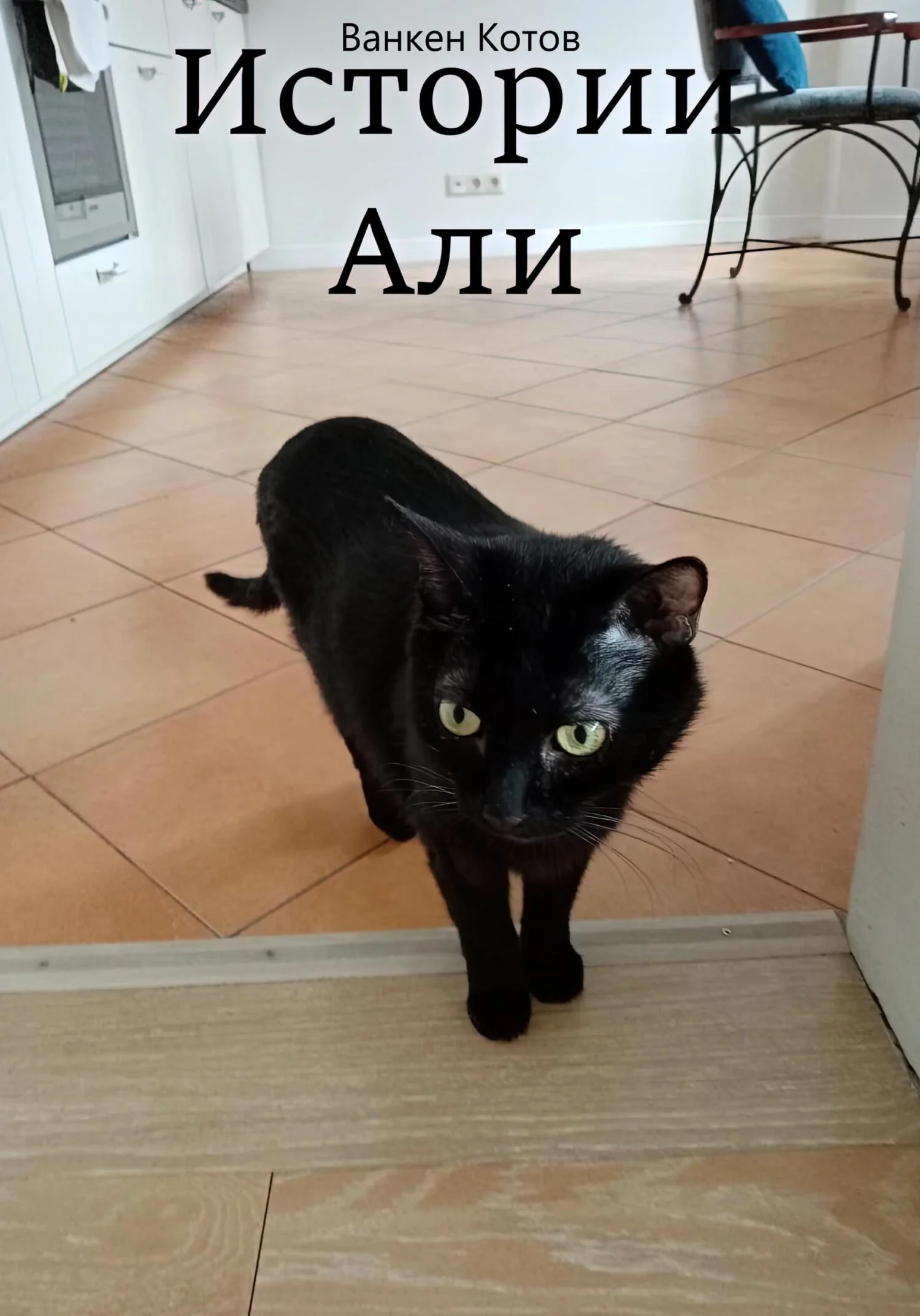 Обложка Истории Али
