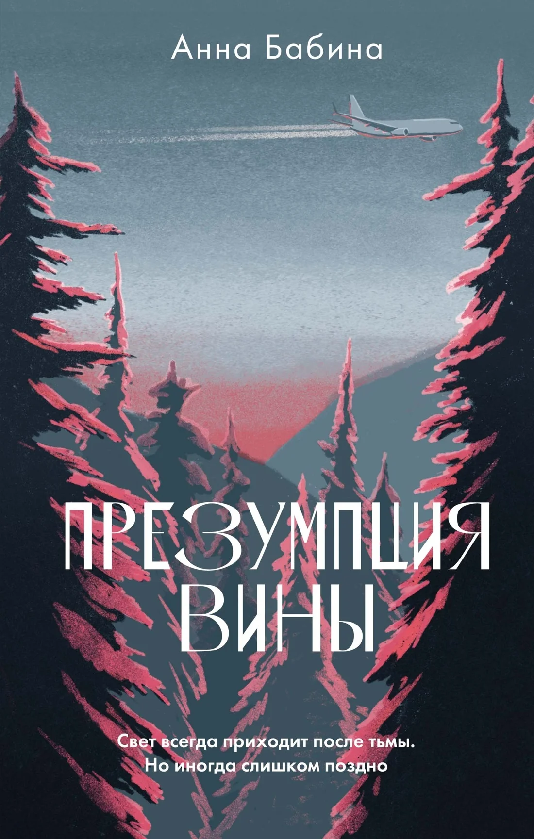 Обложка Презумпция вины