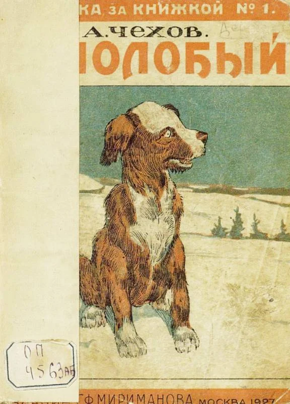 Обложка Белолобый