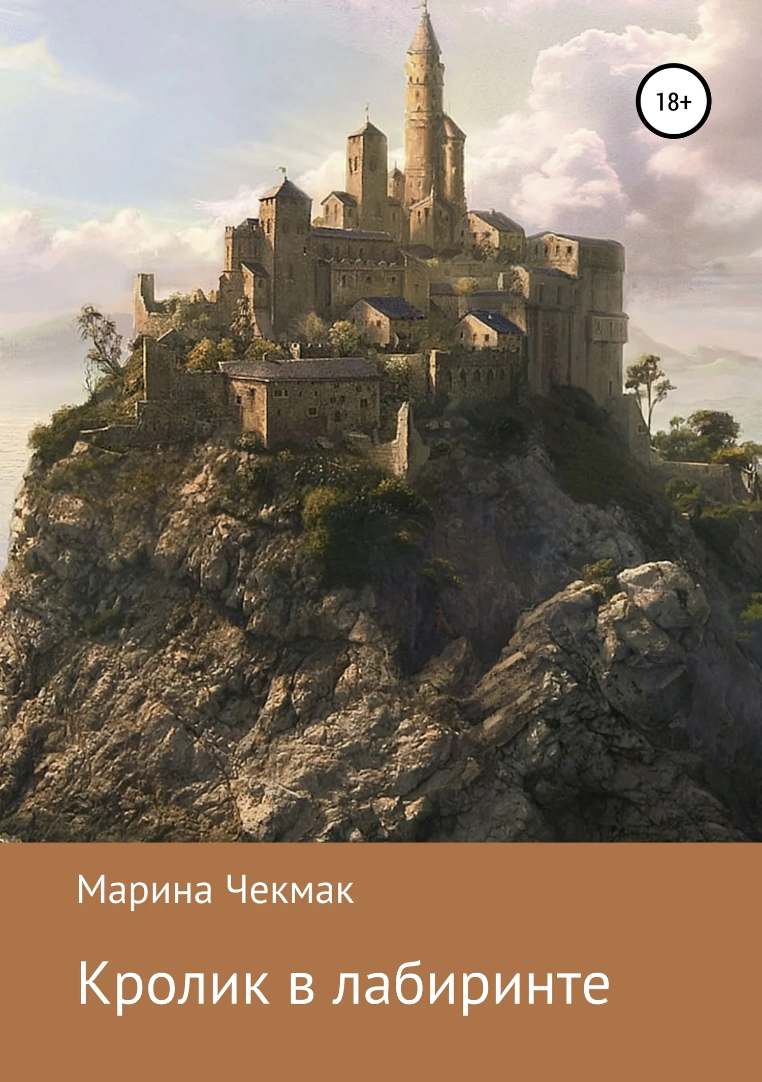 Обложка Кролик в лабиринте