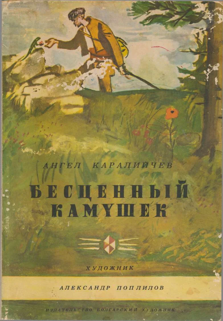 Обложка Бесценный камушек