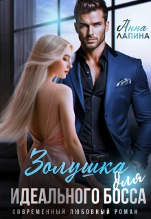 Обложка Золушка для идеального босса