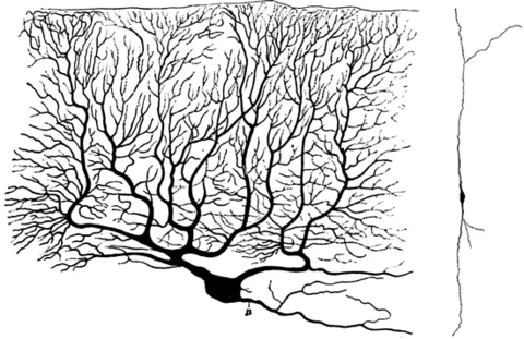 Обложка Компьютерра PDA N181 (07.07.2012-13.07.2012)