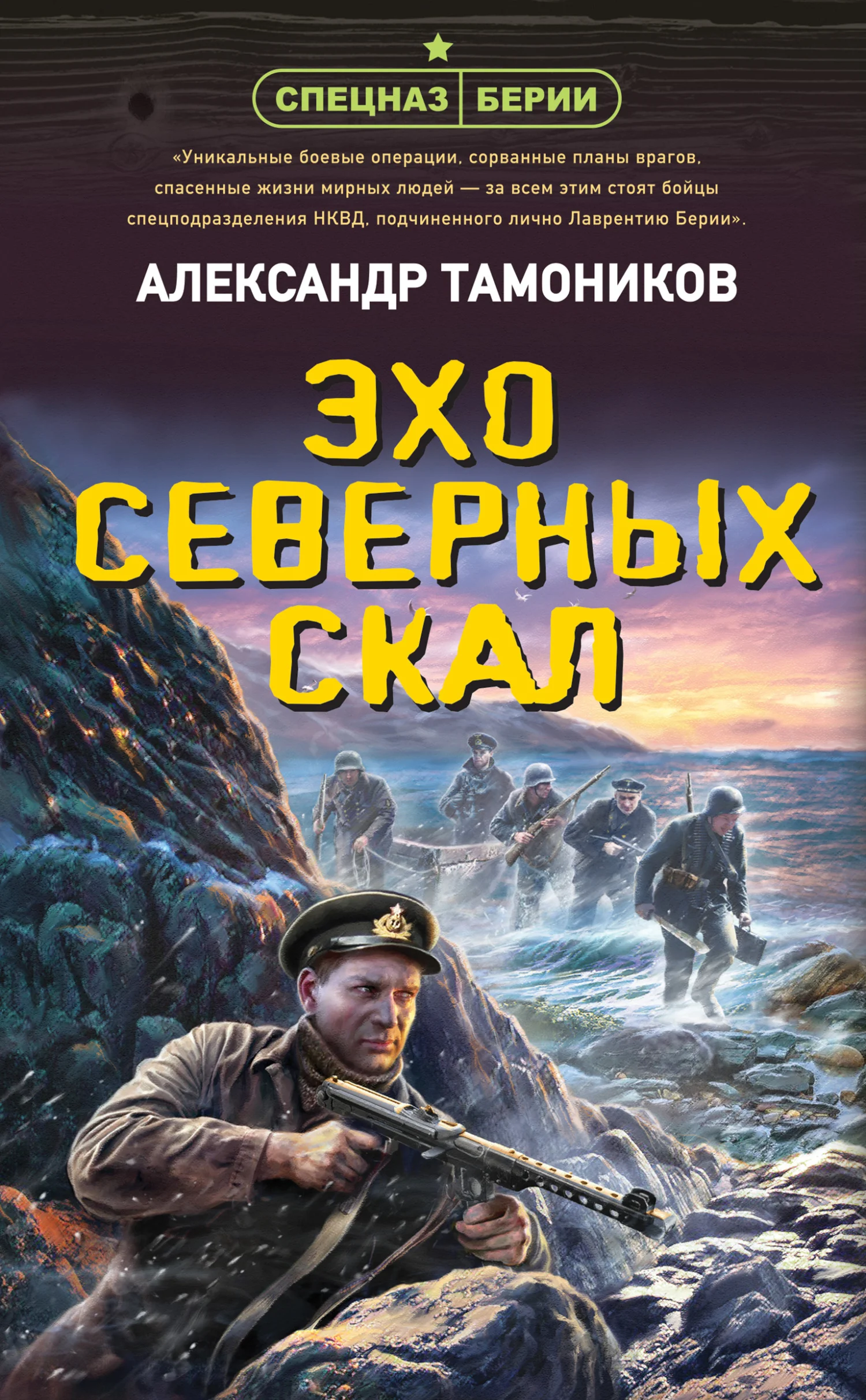 Обложка Эхо северных скал