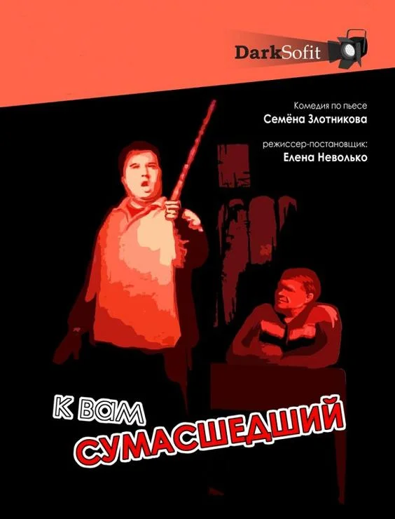 Обложка К вам сумасшедший