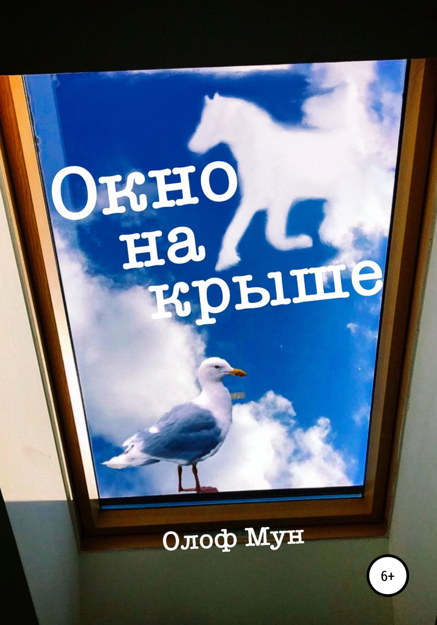 Обложка Окно на крыше