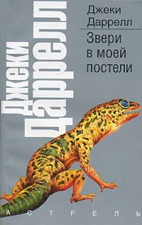 Обложка Звери в моей постели