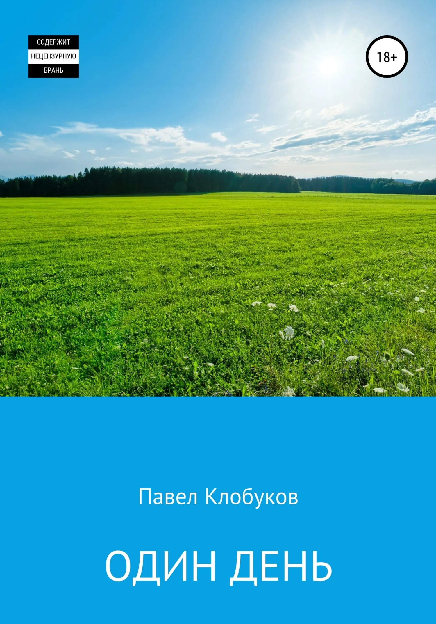 Обложка Один день