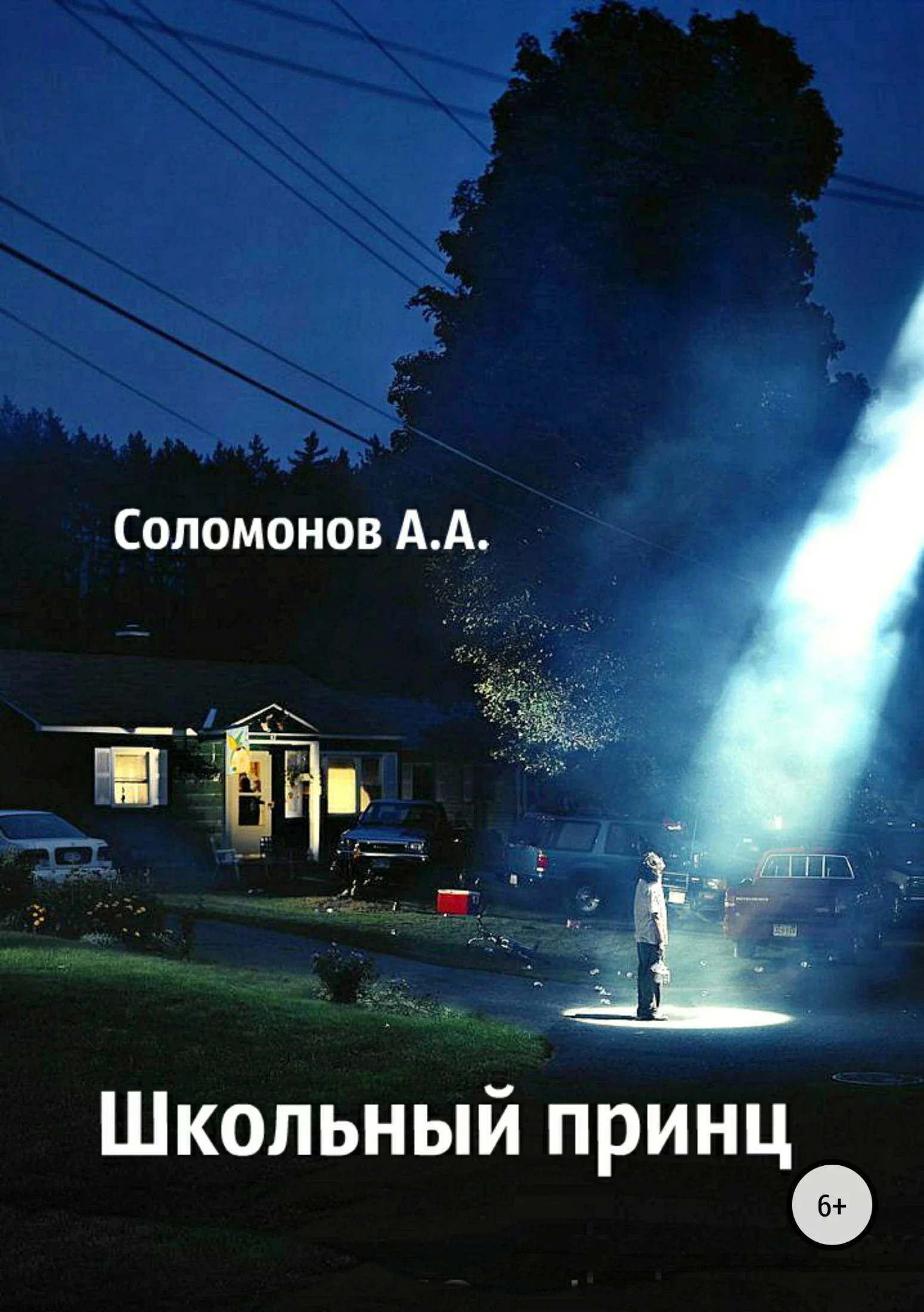 Обложка Школьный принц