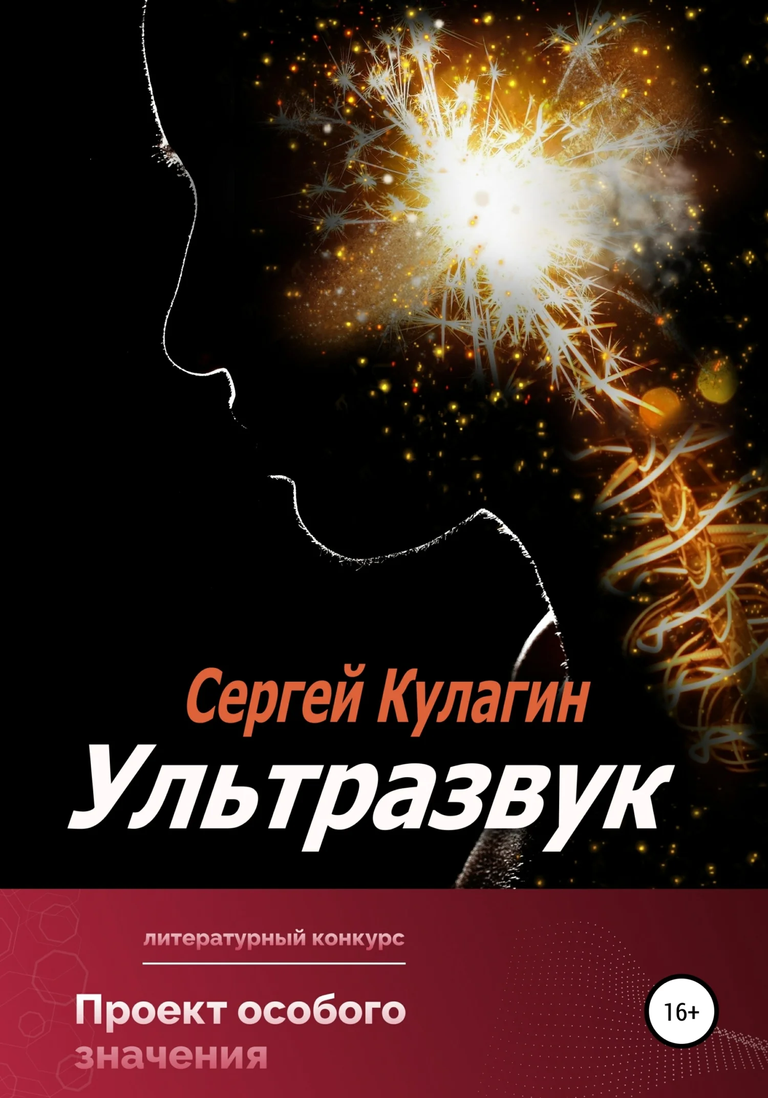 Обложка Ультразвук
