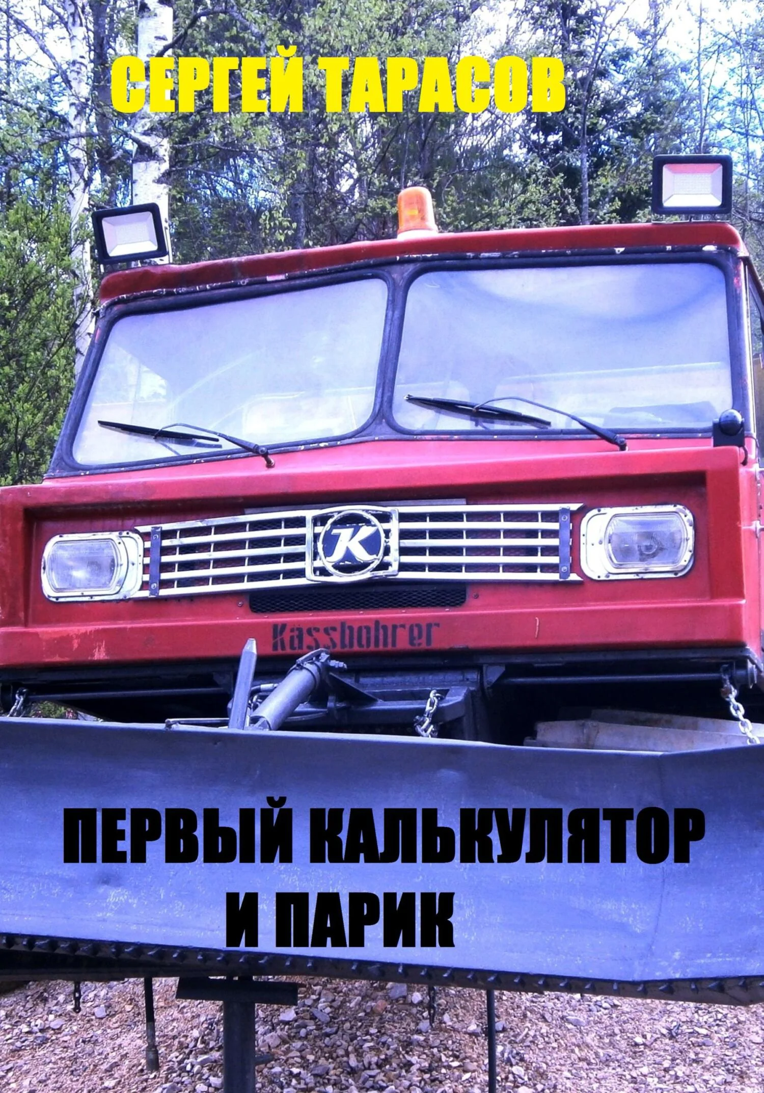 Обложка Первый калькулятор и парик