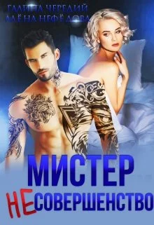 Обложка Мистер Несовершенство