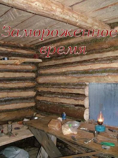 Обложка Замороженное время
