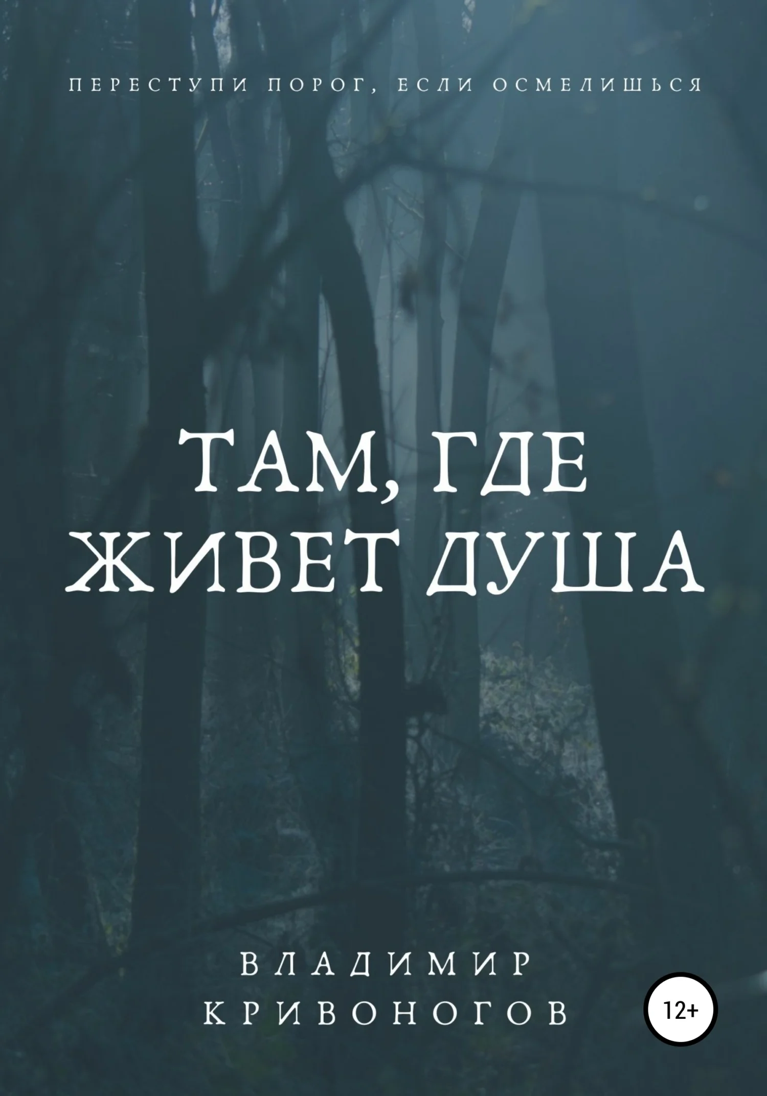Обложка Там, где живет душа