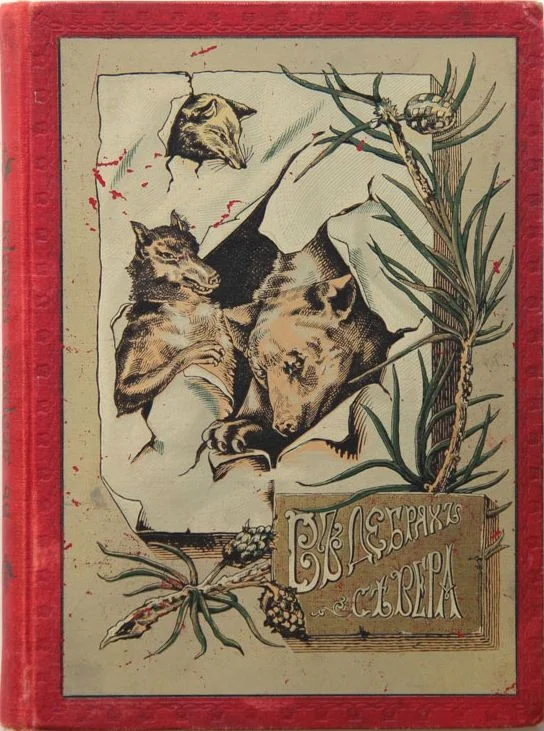 Обложка В дебрях Севера. Приключения волка, медведя и лисицы
