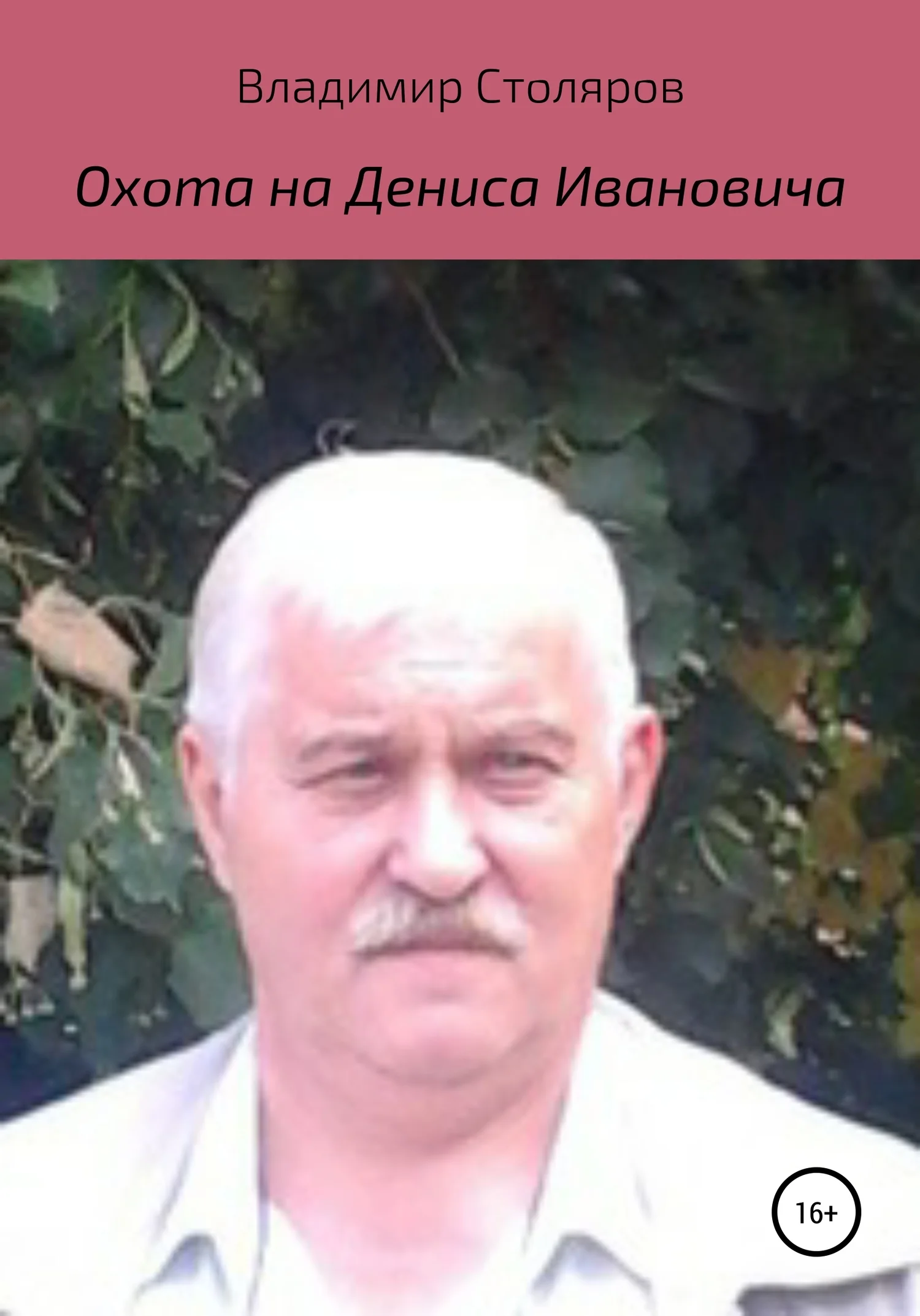 Обложка Охота на Дениса Ивановича