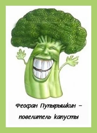 Обложка Феофан Пупырышкин - повелитель капусты