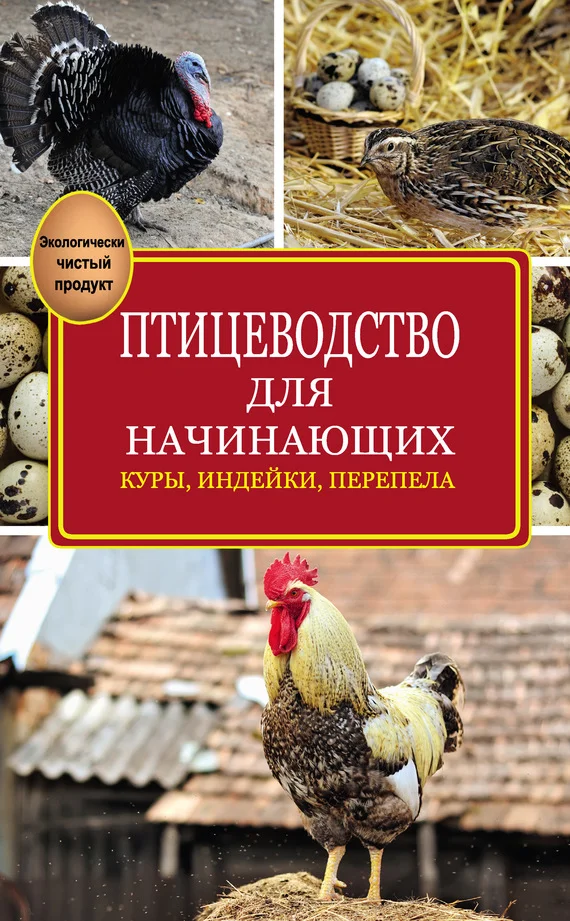 Обложка Птицеводство для начинающих