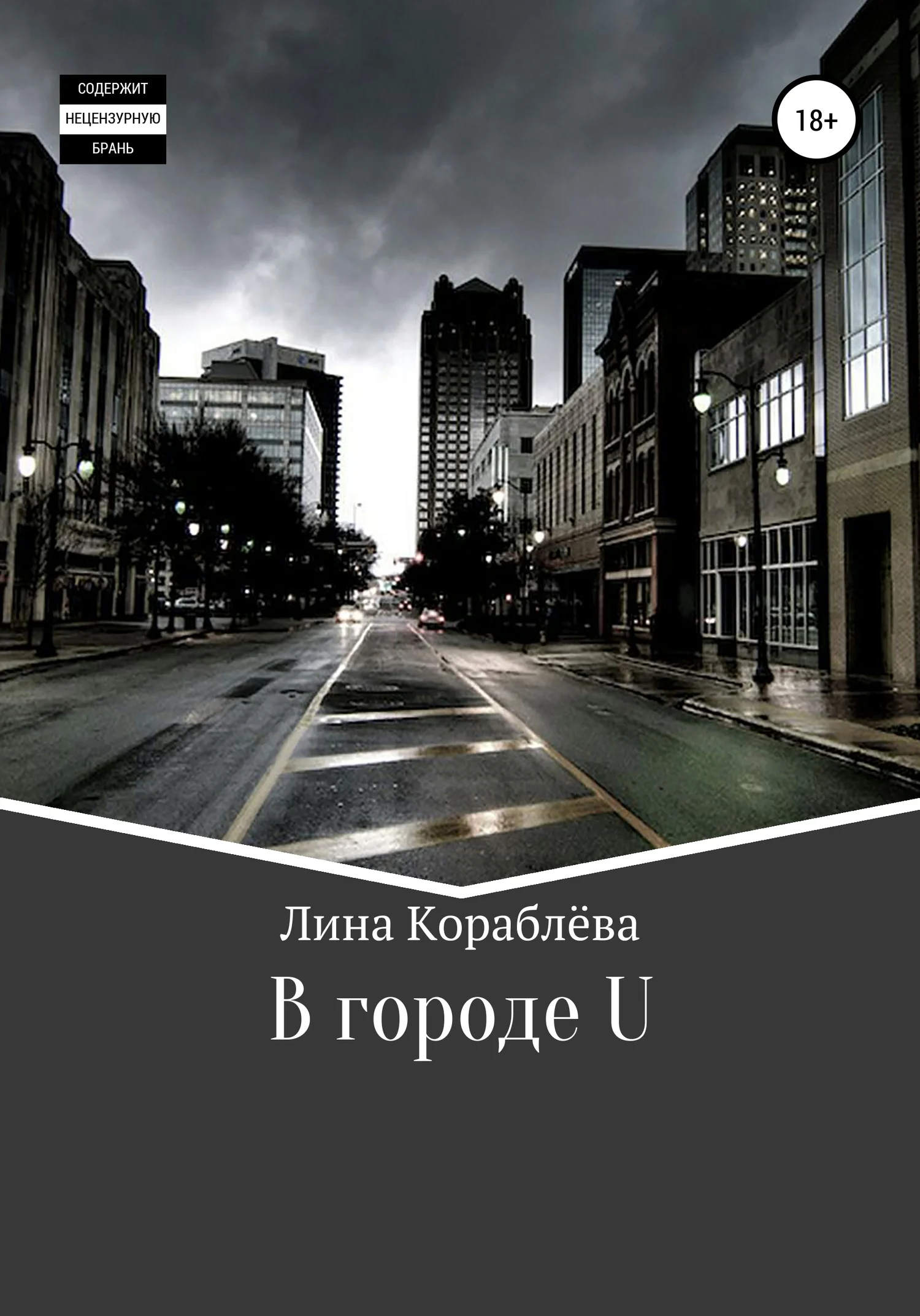 Обложка В городе U