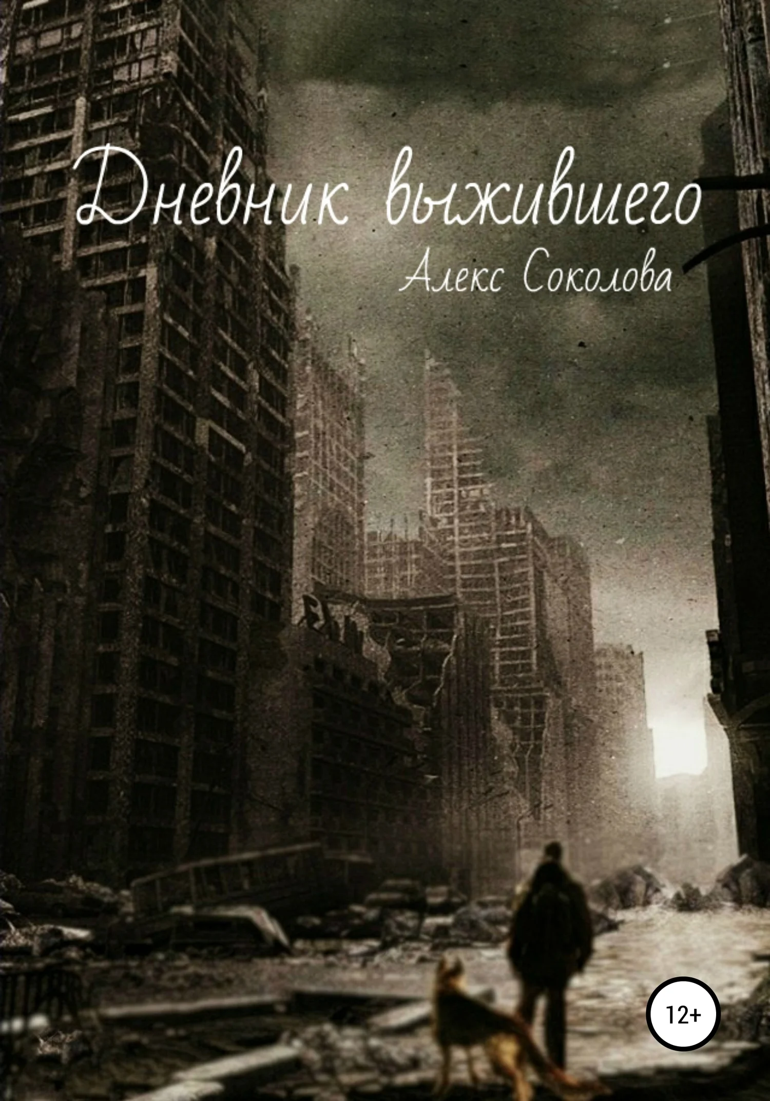 Обложка Дневник выжившего