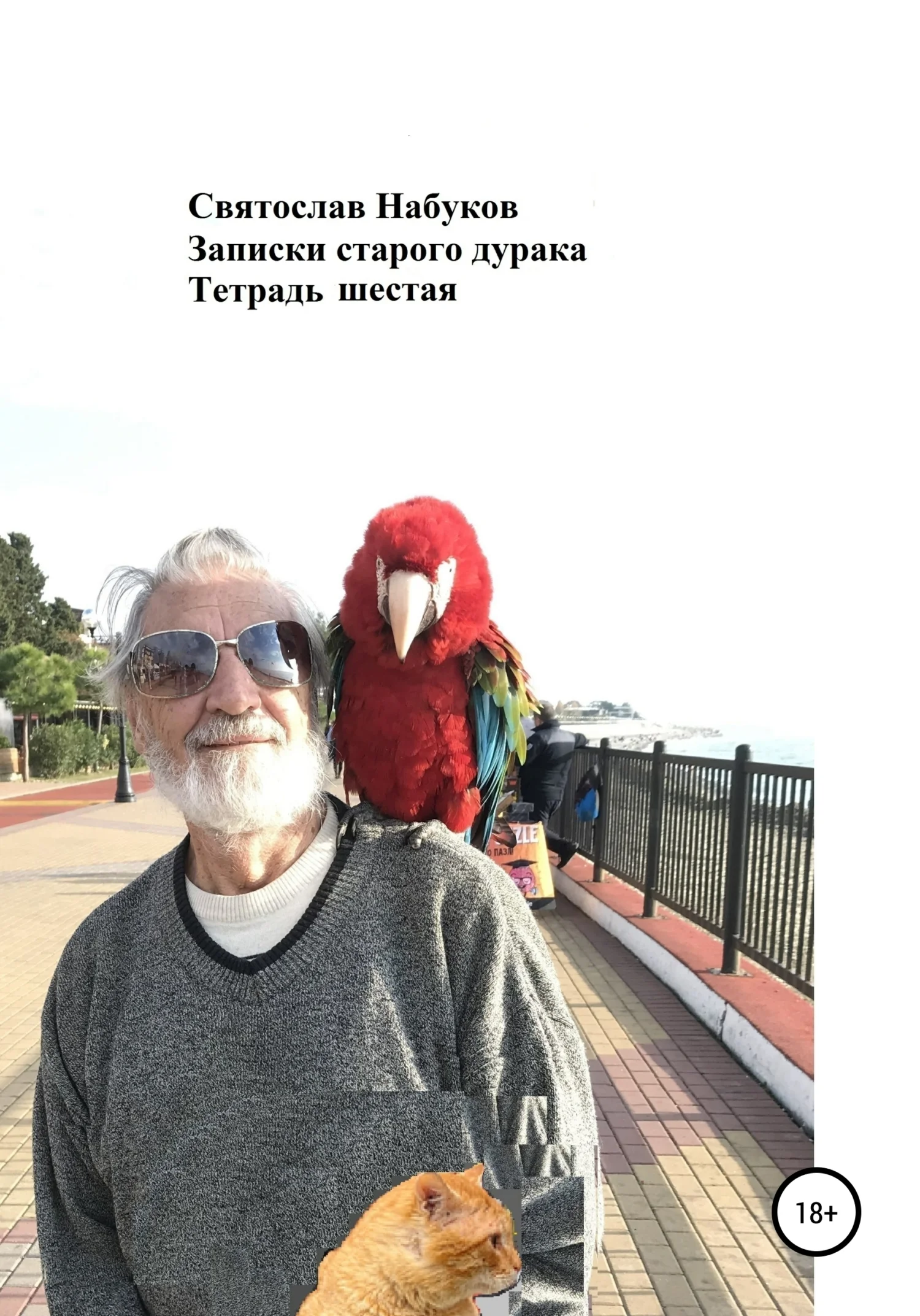 Обложка Записки старого дурака. Тетрадь шестая