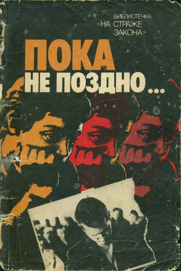 Обложка Пока не поздно