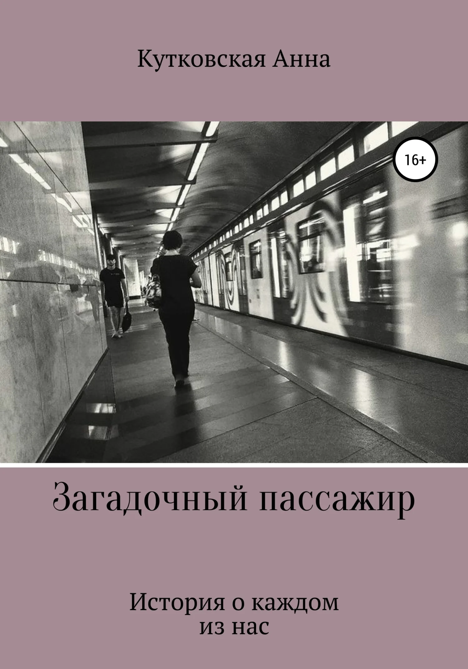 Обложка Загадочный пассажир