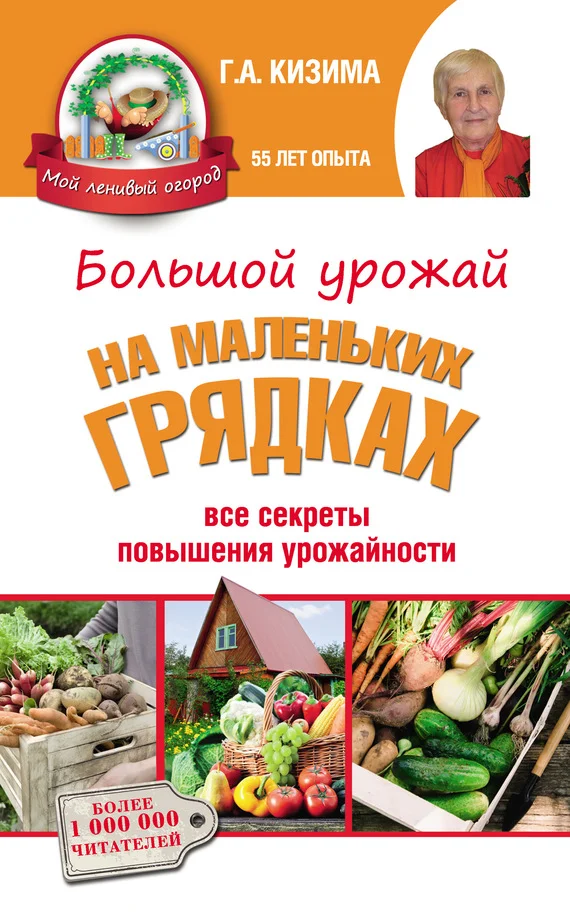 Обложка Большой урожай на маленьких грядках. Все секреты повышения урожайности