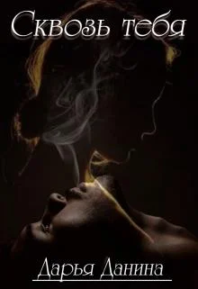 Обложка Сквозь тебя