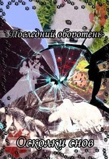 Обложка Осколки снов