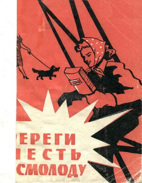 Обложка Береги честь смолоду