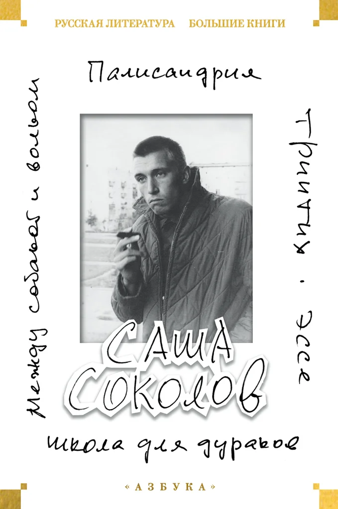 Обложка Школа для дураков. Между собакой и волком. Палисандрия. Эссе. Триптих