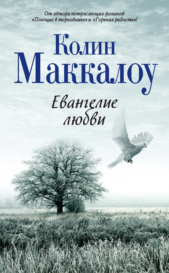 Обложка Евангелие любви