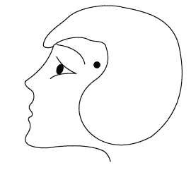 Обложка Законы полноценного здоровья