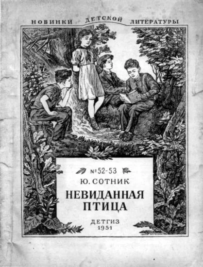 Обложка Невиданная птица