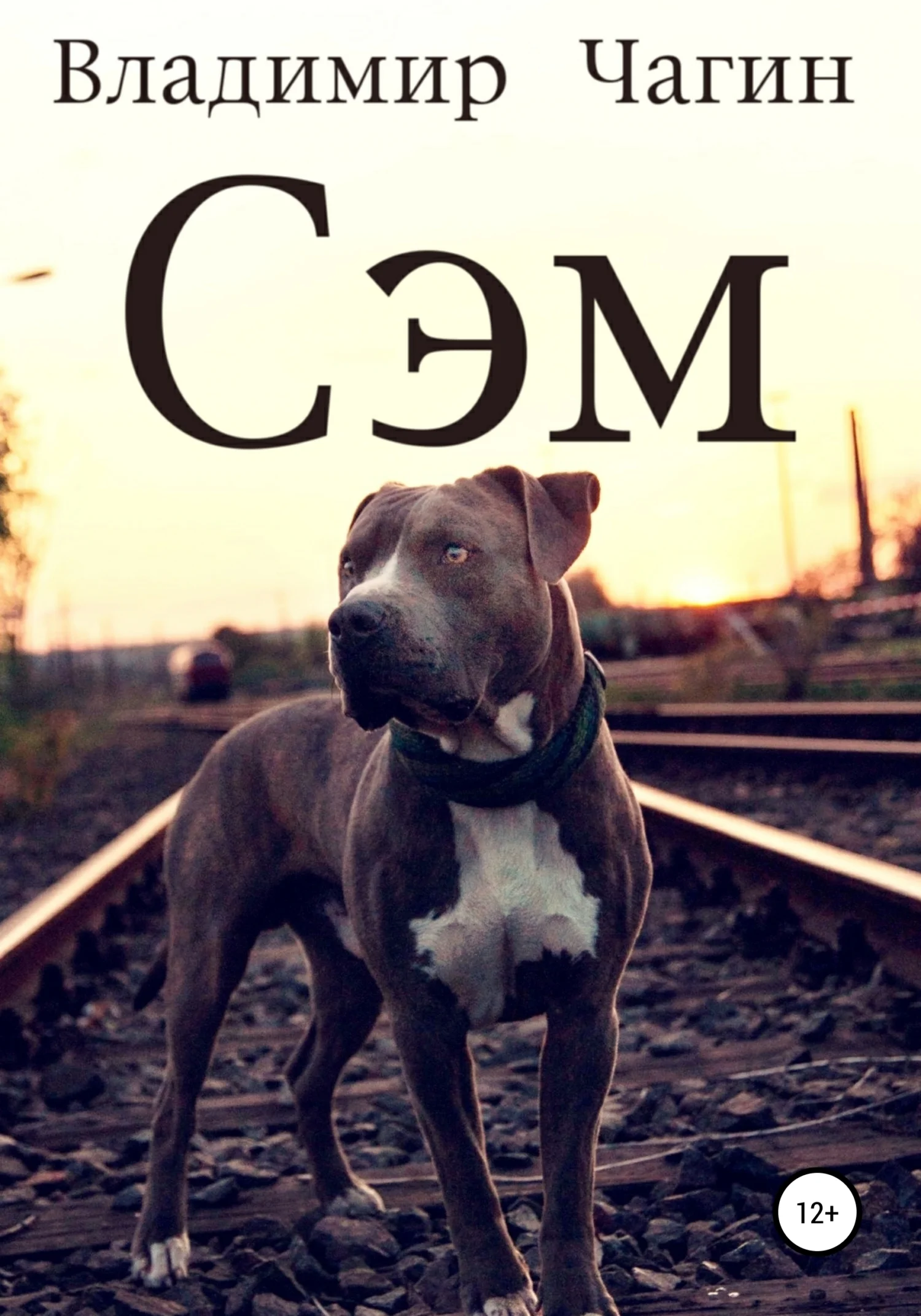 Обложка Сэм