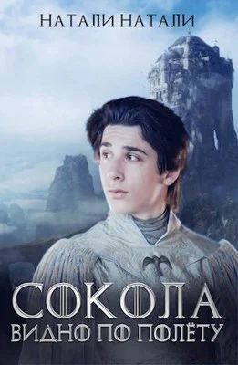 Обложка Сокола видно по полёту