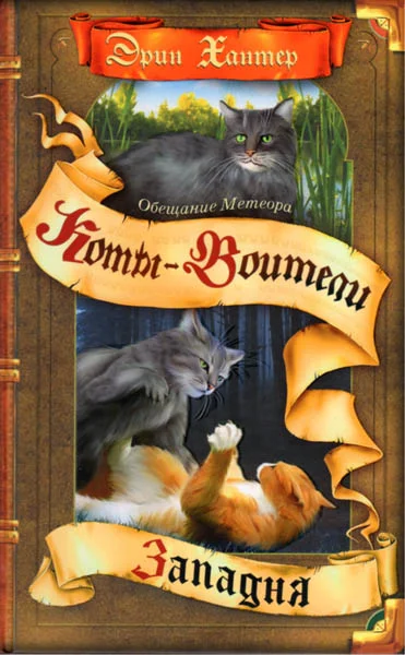 Обложка Обещание Метеора. Книга 1. Западня