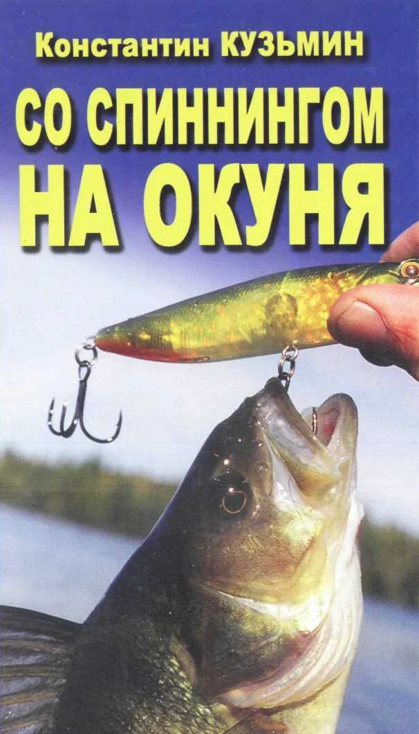 Обложка Со спинингом на окуня