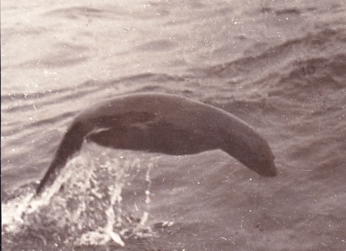 Обложка И такие бывают уловы