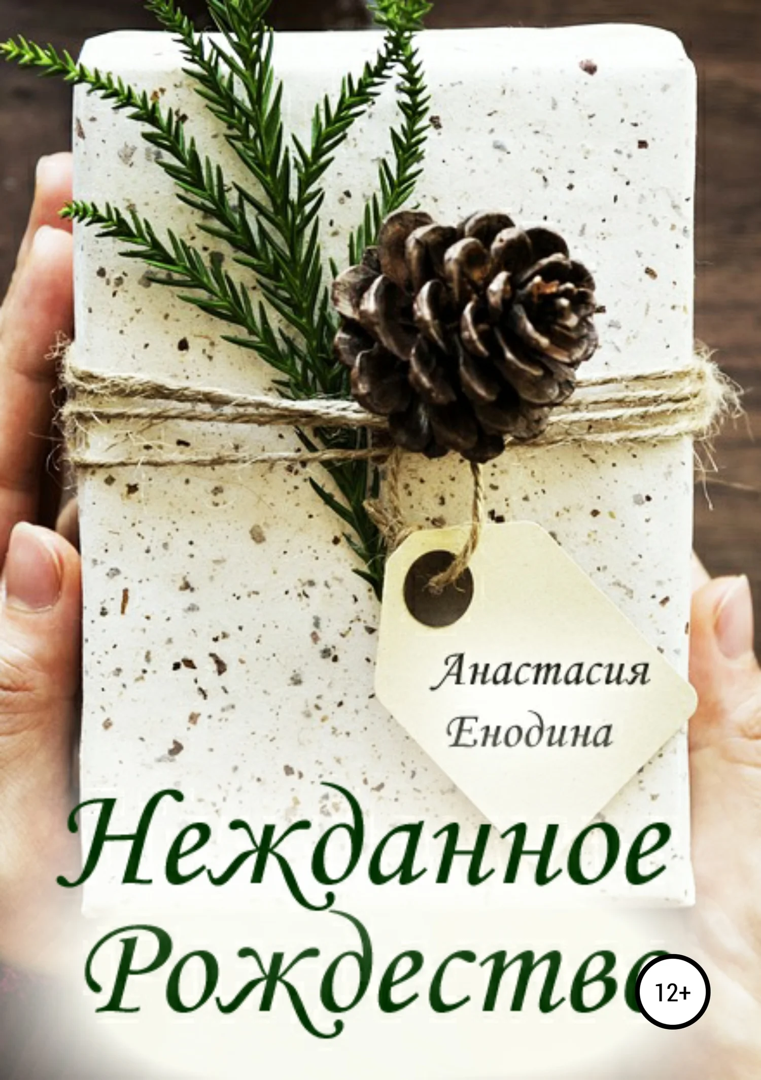 Обложка Нежданное Рождество