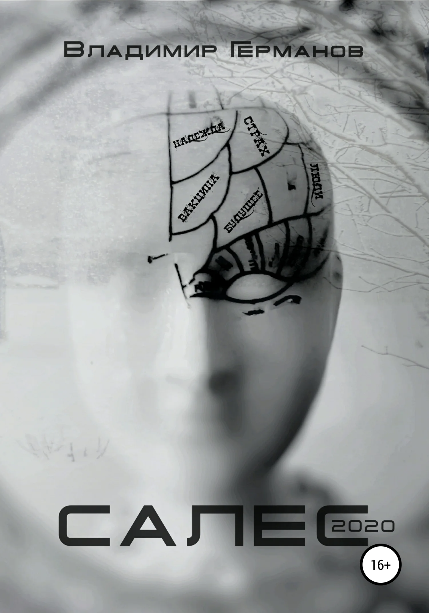 Обложка Салес 2020