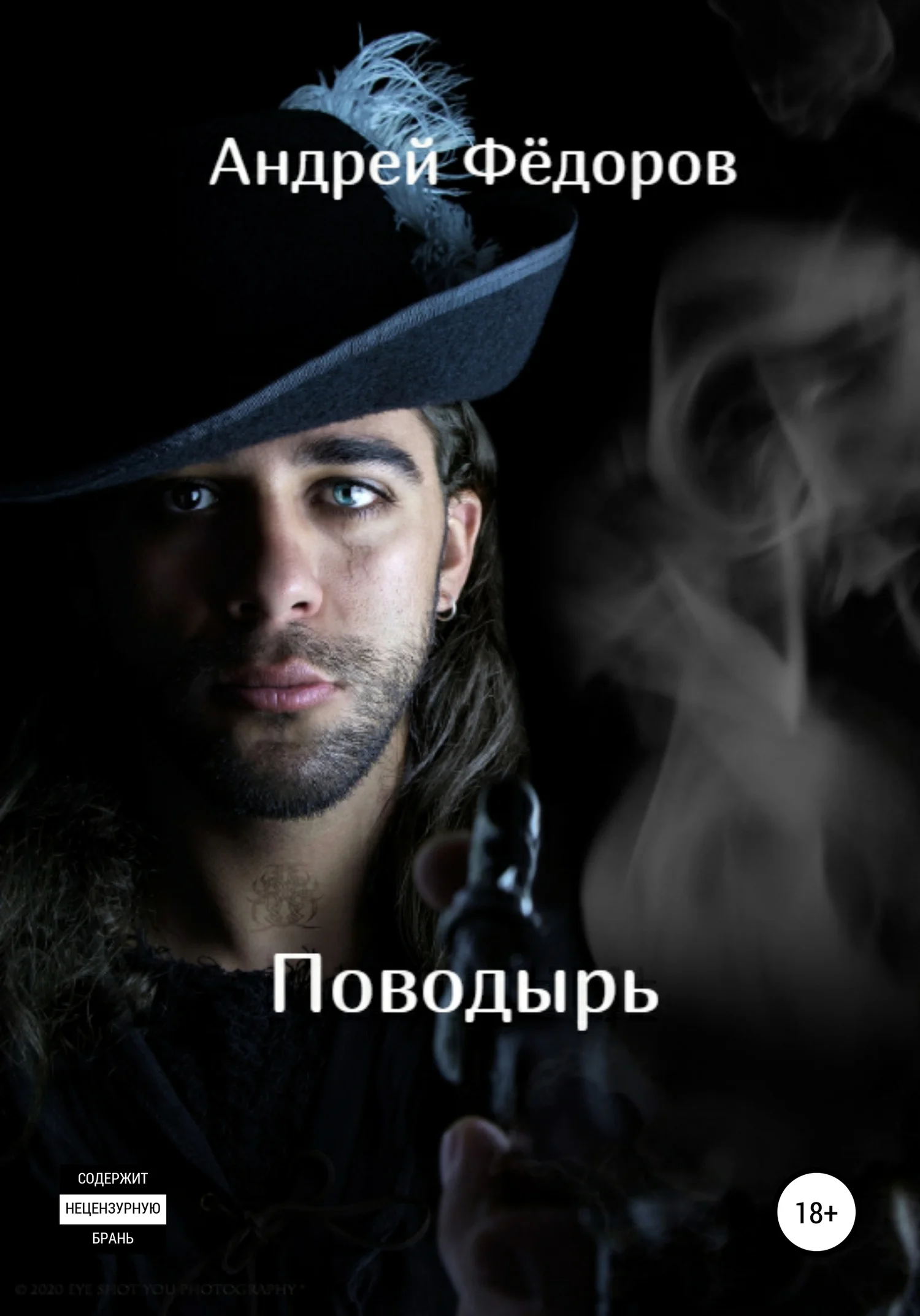 Обложка Поводырь