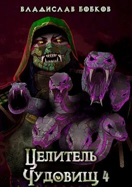 Обложка Целитель чудовищ - 4