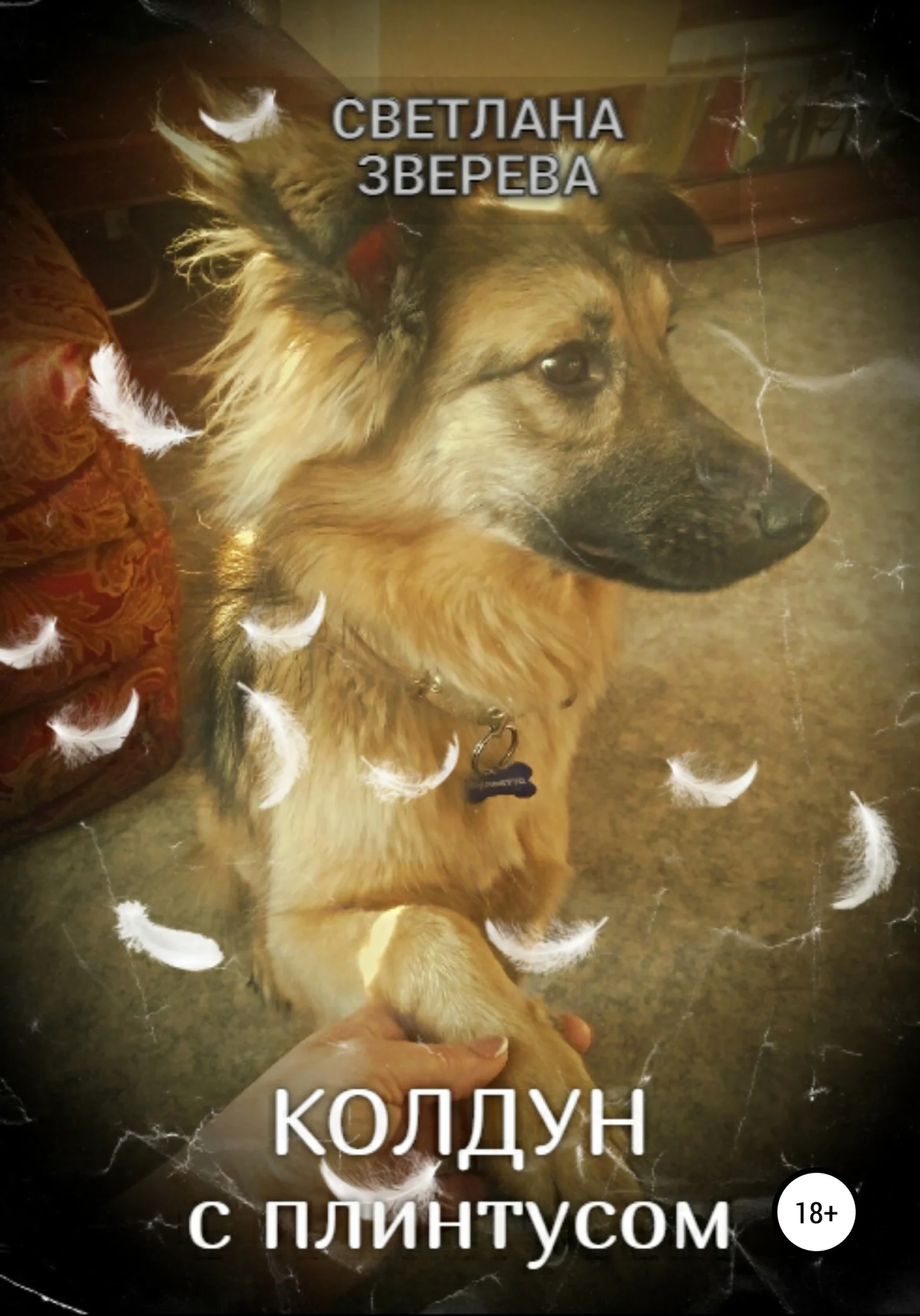 Обложка Колдун с плинтусом